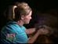 Oregon Rescuers Dig Camel 'Moses' Out Of Sinkhole
