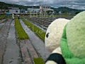 田植えをしよう！第三回