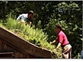 How to Create a Green Roof