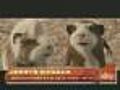 Producer Jerry Bruckheimer On New Movie,  'G-Force'