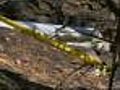 Fourmile Fire Investigation In Hands Of D.A.