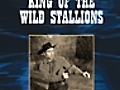 King of the Wild Stallions