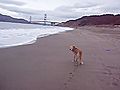 China Beach San Francisco