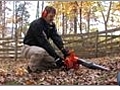 Gas Leaf Blower - How Much Power is Needed