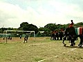 Soccer match: Kids vs. elephants