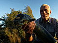 River Monsters: How to Catch a Longfin Eel