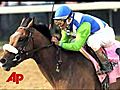 Barbaro Euthanized