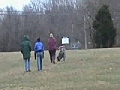 Giant Schnauzer,  Tracking