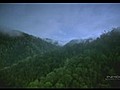 Tropical Rainforest (2005) 720p.avi