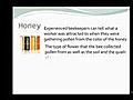 honey,  beekeeping, honey bee, honeybees, how to keep bees, how to produce honey, beekeeping for beginners, processing honey