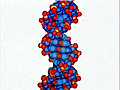 Atoms to X-Rays: Sensing Chemical and Biological Compounds Using Nanomaterials