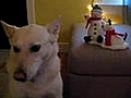 Dog singing jingle bells