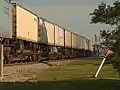 Royalty Free Stock Video HD Footage Pan Left to Freight Train Cars Pass by on the Tracks in Fort Lauderdale,  Florida