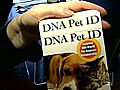 DNA Tests Used To Identify Source Of Dog Poop