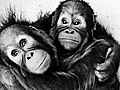 Reporter reminisces on the zoo