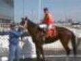 Former Boxer Now Hawthorne's Only Female Jockey