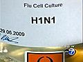 Anxiety over H1N1 flu vaccine