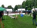 NRW Flyball Cup 2010