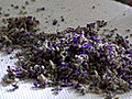 How to Make Lavender Oil