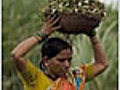 India’s Sugar Rush