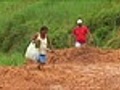 Municípios do Nordeste ainda sofrem com os problemas causados pela chuva