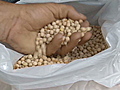 Cuba resumes mixing peas with coffee