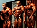 Largest Source of Free Bodybuilding Videos Online!