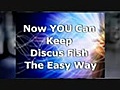 Discus Fish Secrets