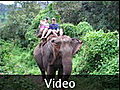 Us on nelly the elephant - Chiang Mai, Thailand
