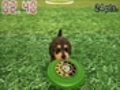 Nintendogs + Cats: Toy Poodle & New Friends - Frisbee Gameplay Movie [3DS]