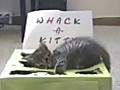 Whack-A-Kitty 2