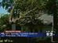 Confirmed Tornado Hit Bronx