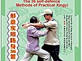 The Techniques and Combat of Xingyi Twelve-styles Quan