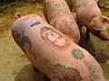 Pigs Get Tattoos