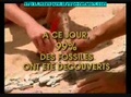 LES FOSSILES REFUTENT LA THEORIE DE L’EVOLUTION P3