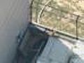Raw Video: Deer Trapped Behind Bronx Target