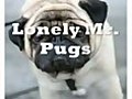 &#039;World Saddest Dog&#039; is a Pug