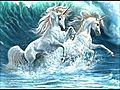 OH UNICORN MY UNICORN               // video added December 12,  2009            // 0 comments             //                             // Embed video: