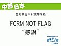 FORM NOT FLAG　