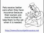 How Veterinary Pet Insurance Works