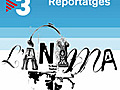 Ànima - Reportatges - La Rambla