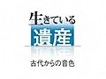 「生きている遺産」フヤラ（ベン・ソレンセンさん演奏）