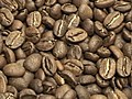 Argentina abre el primer Centro de Estudios del Café