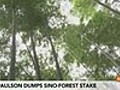 Paulson Dumps Sino-Forest Stake