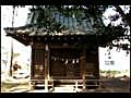 【神社】大宮・南中丸神明神社（埼玉）