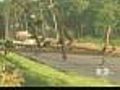 Vicious Storms Leave Parts Of Midwest In Shambles