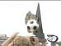 Fox Valley Girls Soccer Standouts