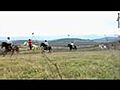 Ferme Equestre du Soularac