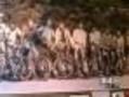 Step Inside Crested Butte's Mtn. Bike Hall Of Fame