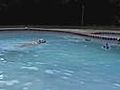 Dog Protects His Pool from Ducks